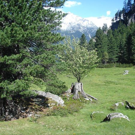Gastehaus Rieser Hotel Ried im Zillertal Zewnętrze zdjęcie